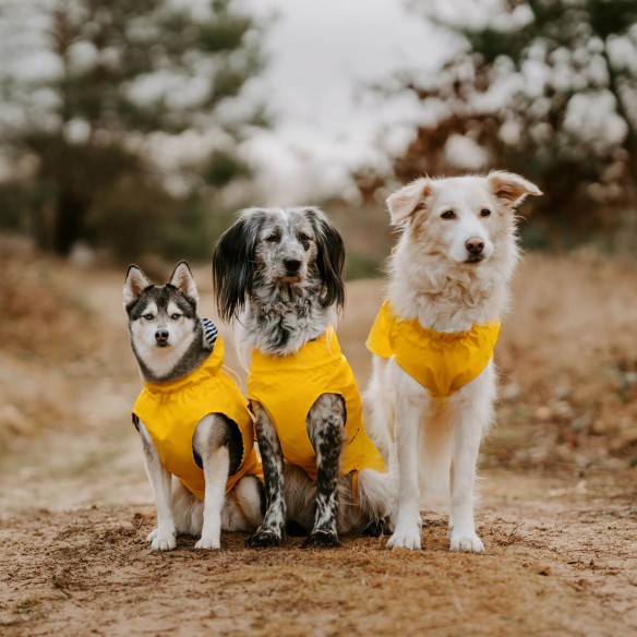 Imperméable MILORD jaune