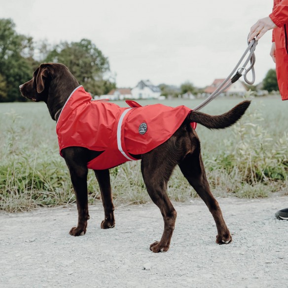 Imperméable UPPSALA