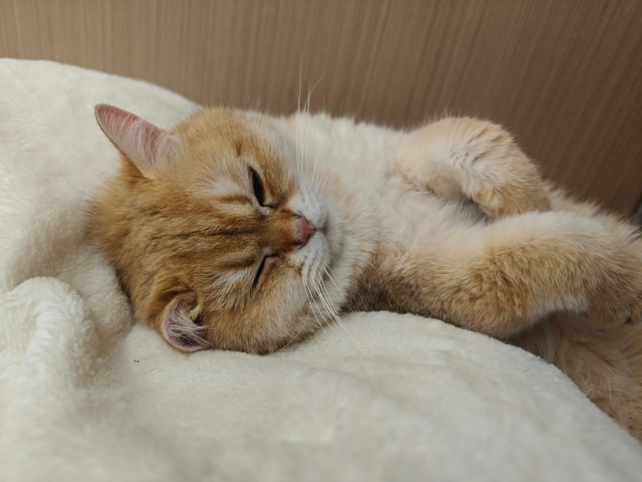 Hello world!